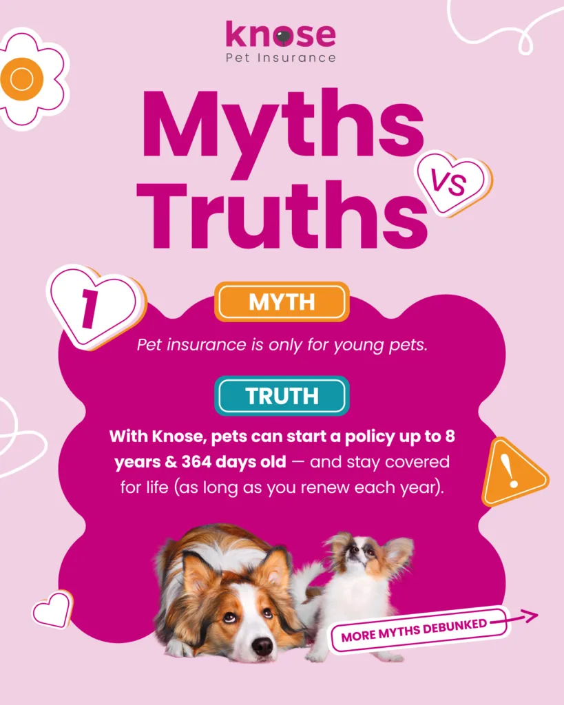Pet-Insurance-Myths-Debunked-1