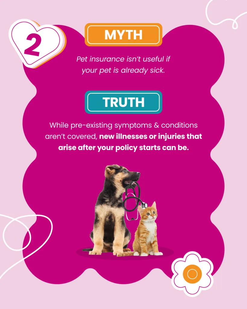 Pet-Insurance-Myths-Debunked-2