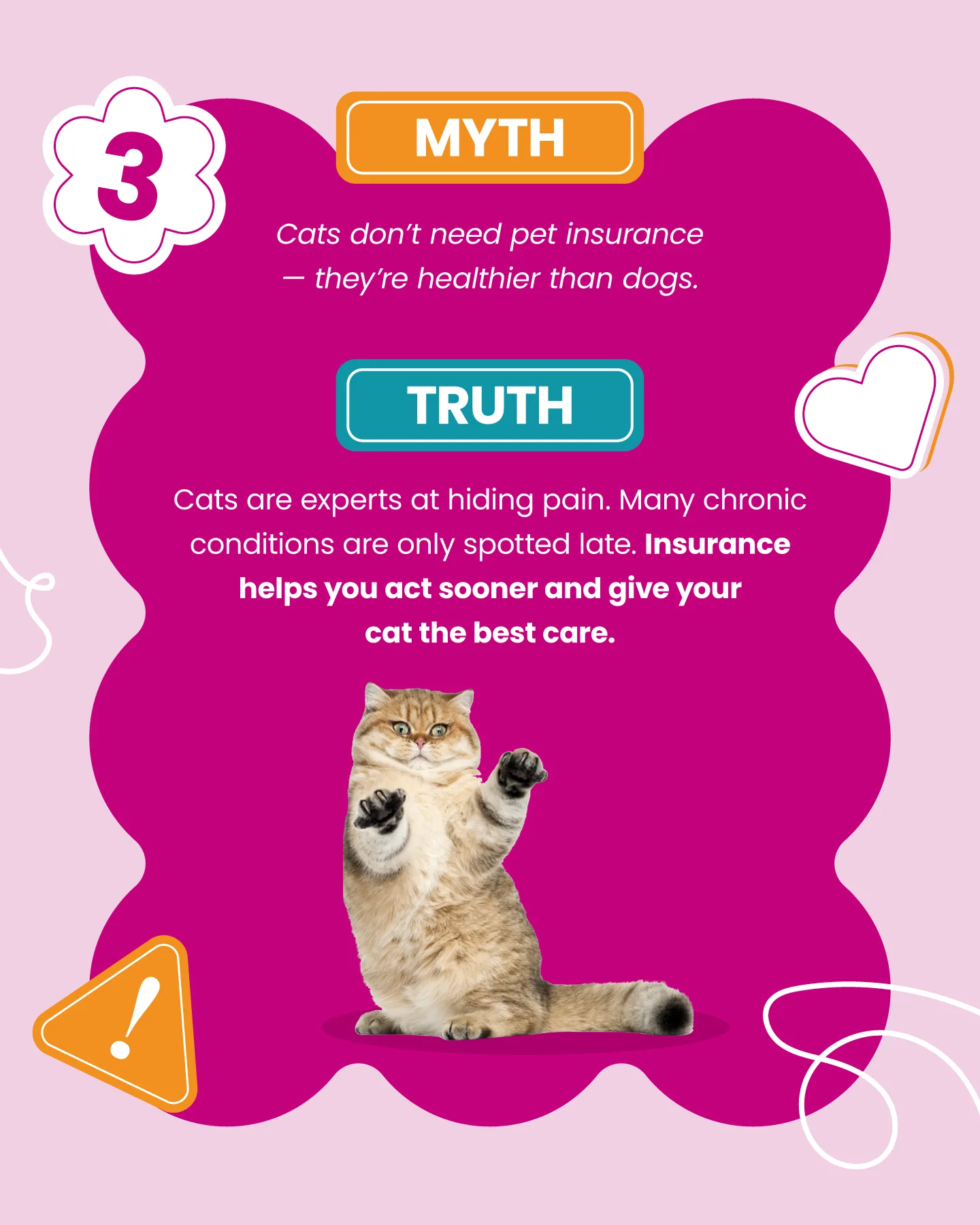 Pet-Insurance-Myths-Debunked-3