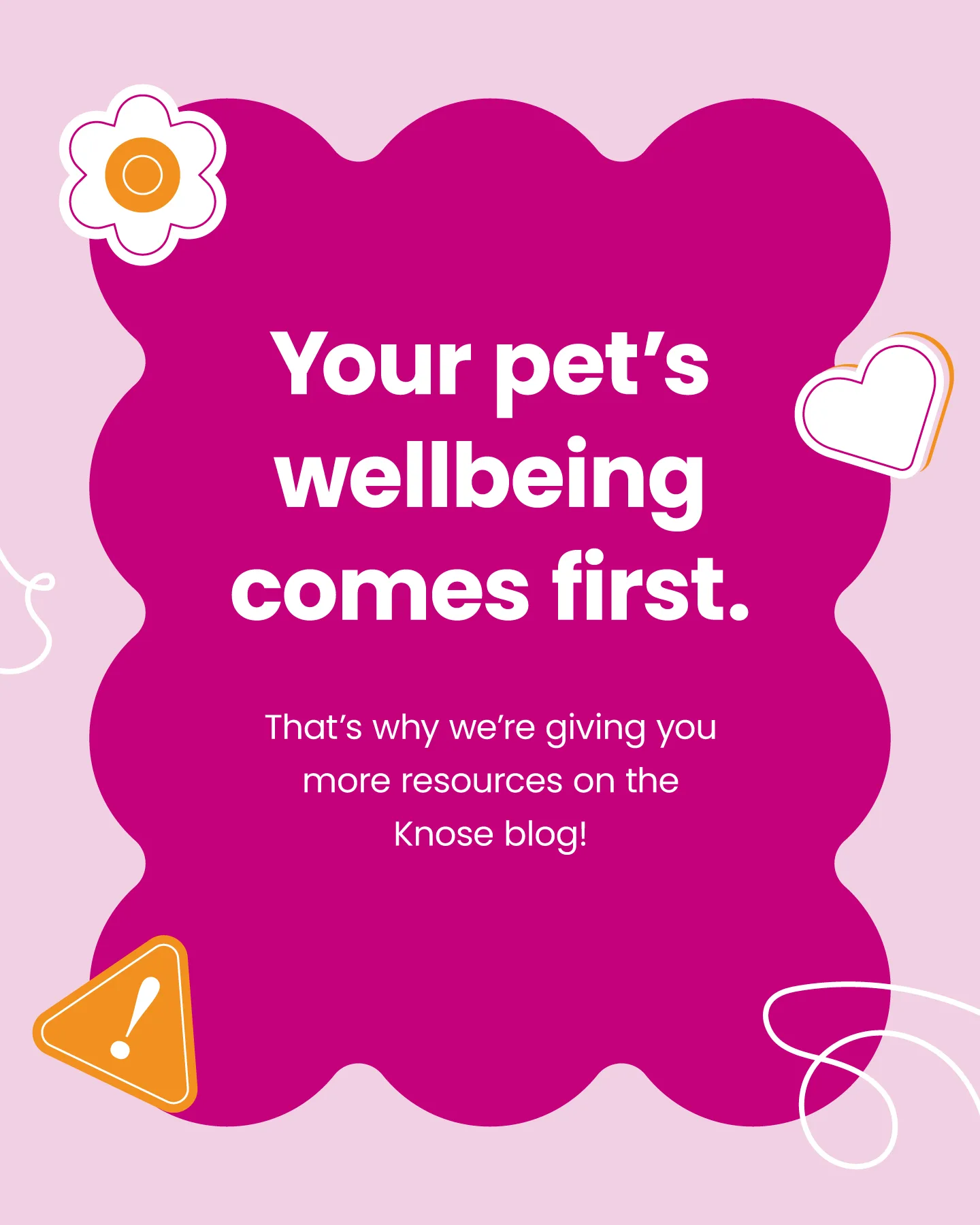 Pet-Insurance-Myths-Debunked-5