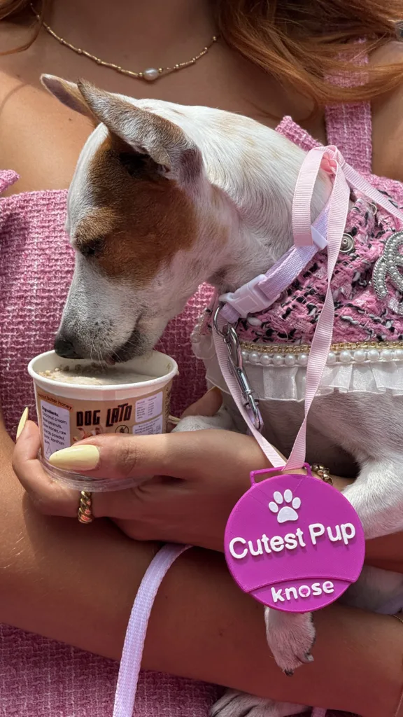 Cutest pup Knose
