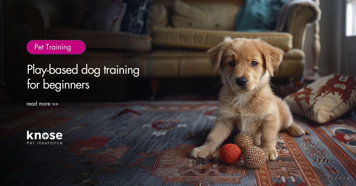 Playbased dog training for beginners Knose