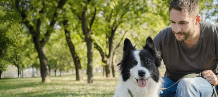 公园里，一位男性宠物主人带着他的边境牧羊犬