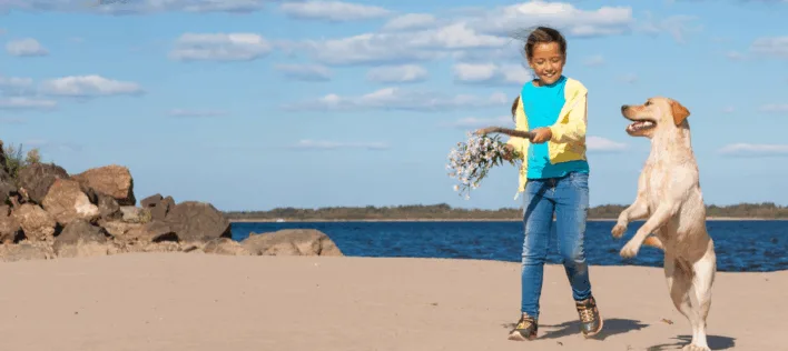 Little girl playing with her labrador retriever on the beach