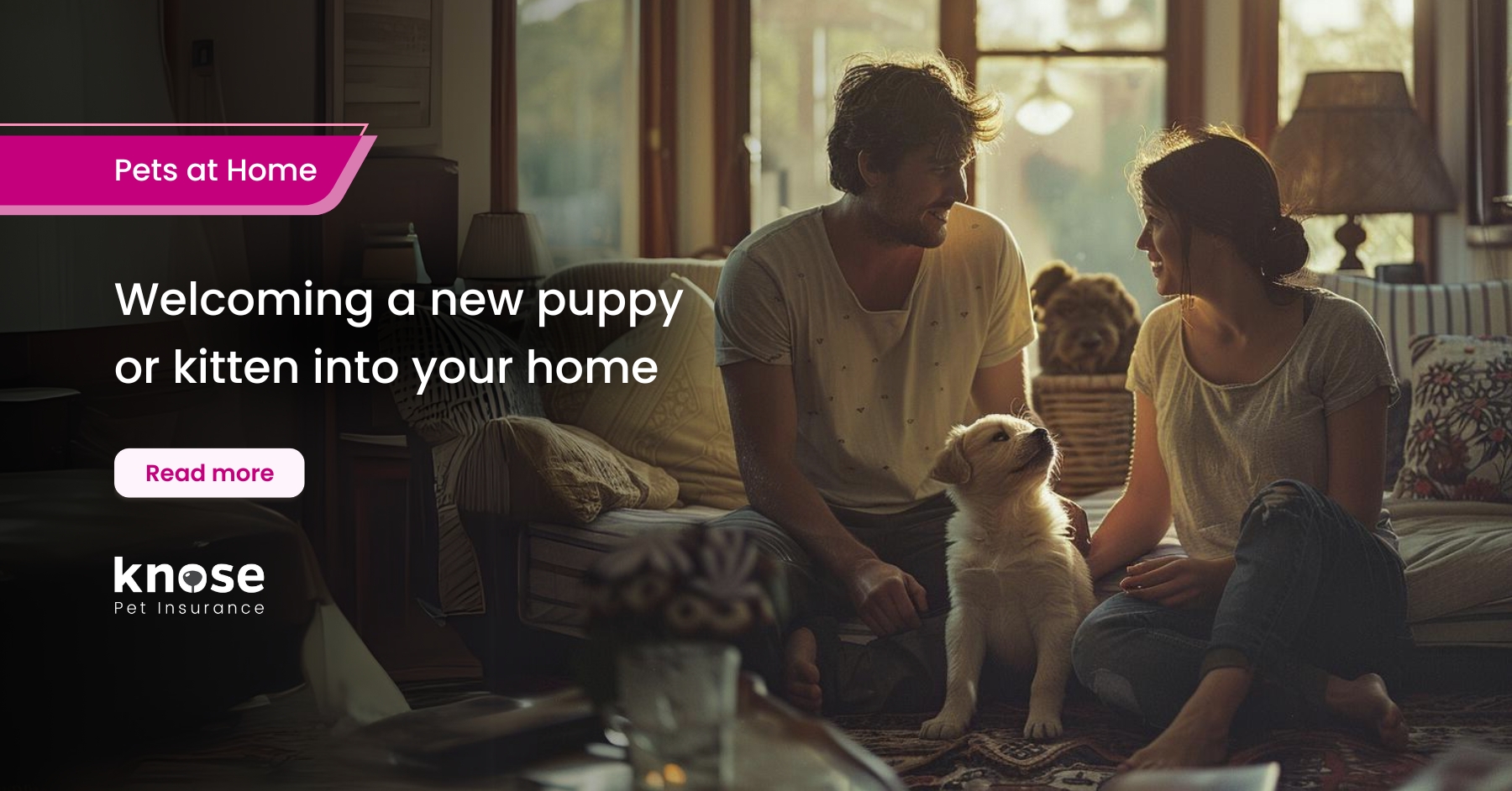 a new puppy or kitten? Here’s what you need to know