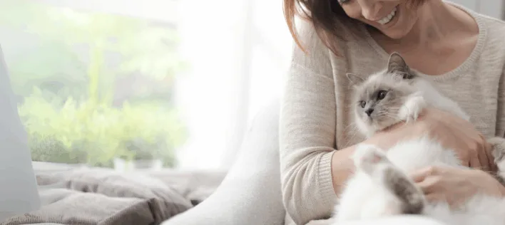 Female pet owner with her cat ragdoll
