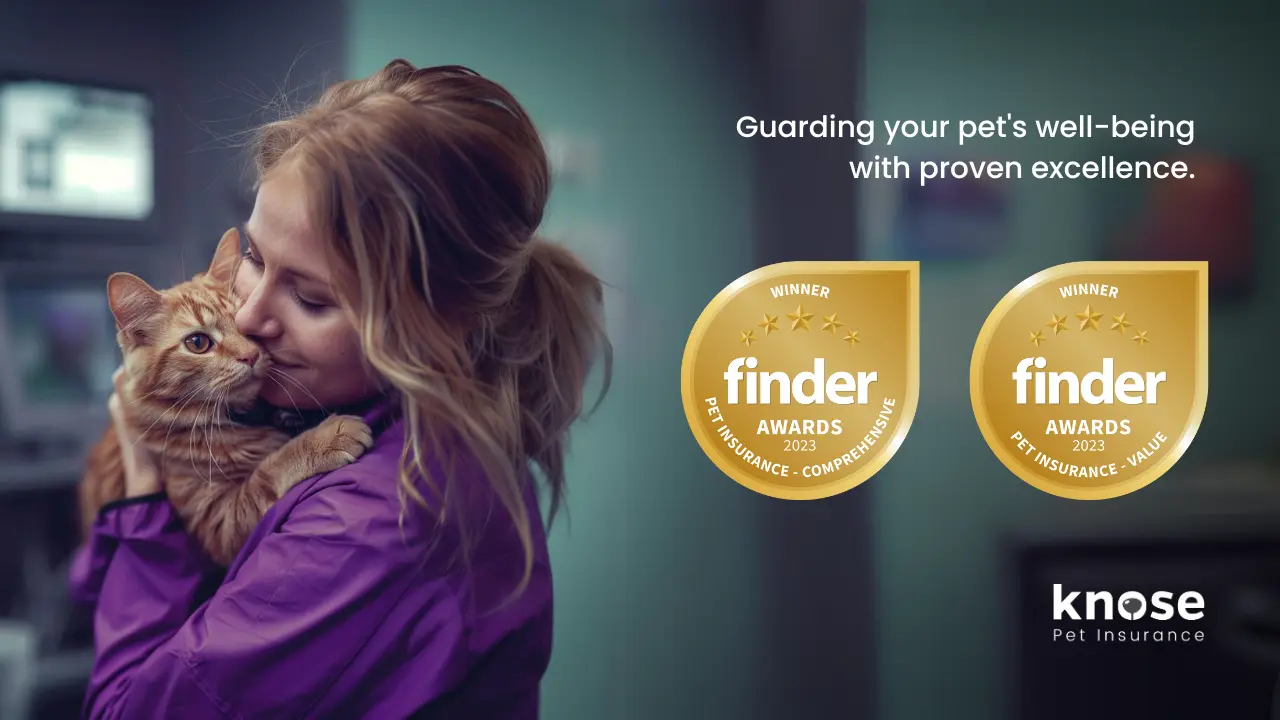 Knose wins 2023 Finder Pet Insurance Awards Knose