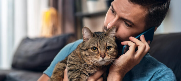 A worried australian pet owner with his cat pet talking to cellphone at home