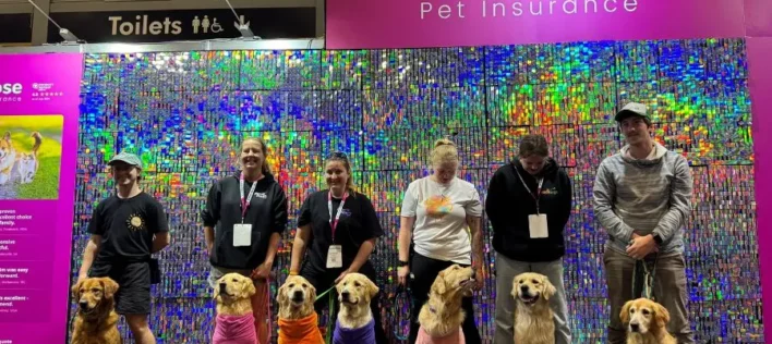 Knose at the Sydney Dog Lovers Festival 2024