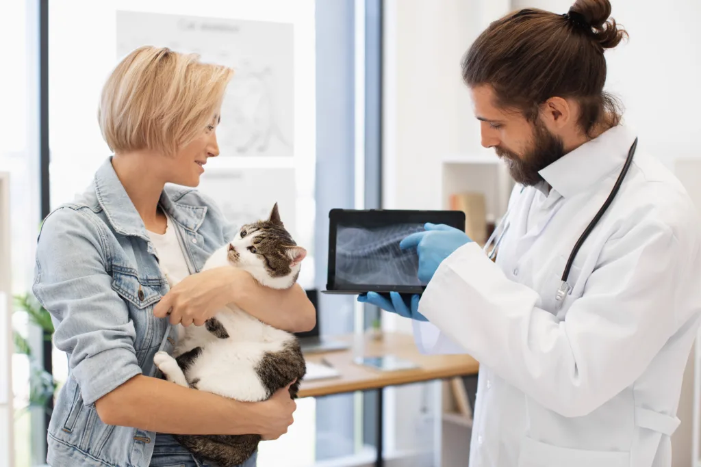 Veterinarian reviewing a cat's x-ray with its owner in clinic