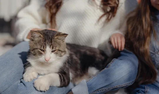 Award-winning Quality Pet Protection You Can Trust