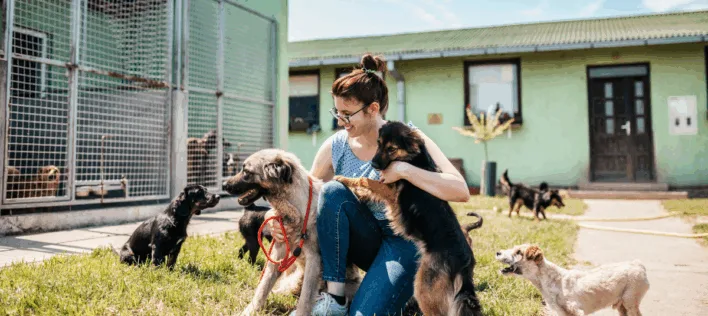 Be Part of the Change: Support Rescue Pets with Knose