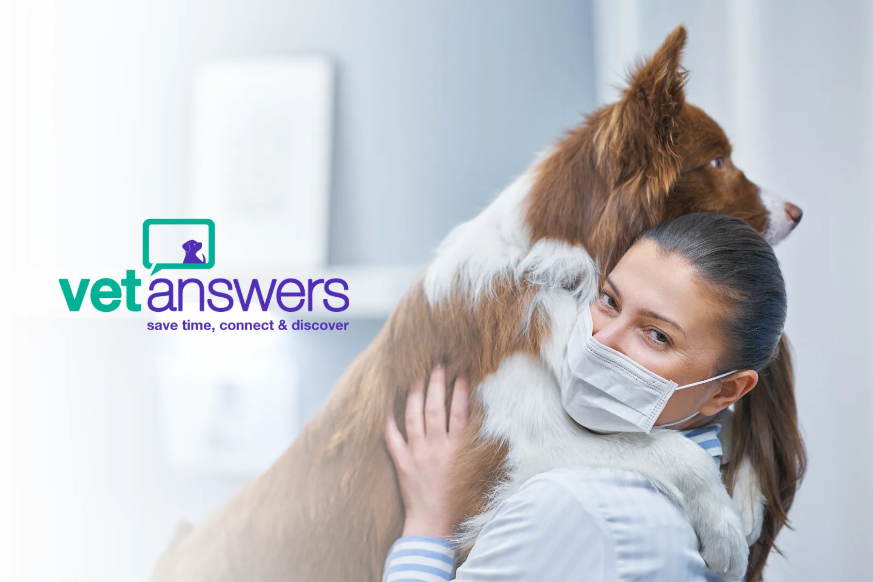 Vet Answers feature for Knose