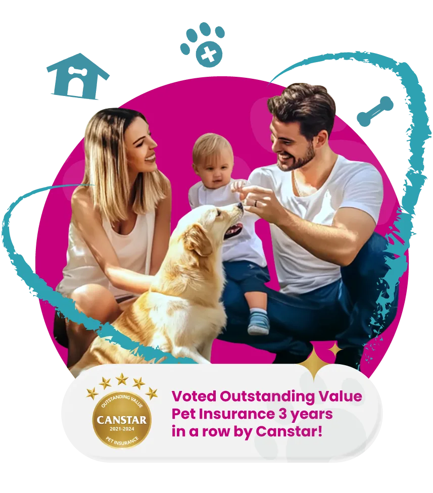 Knose is voted by Canstar