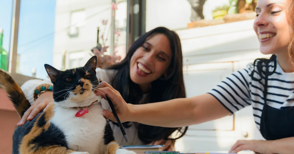 Two women at home caressing the cat on the study table