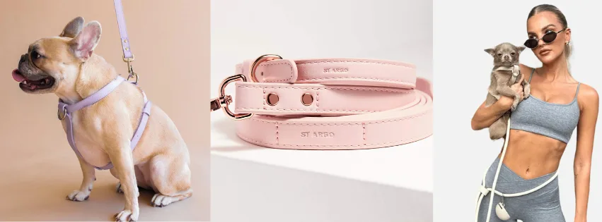 Personalised gift ideas for pets from St. Argo