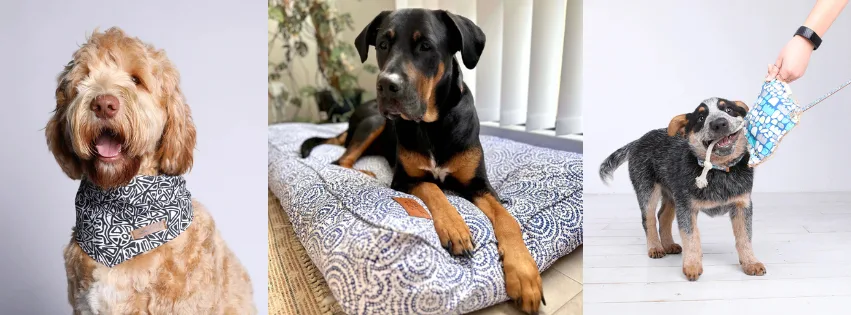 Personalised gift ideas for pets from Outback Tails