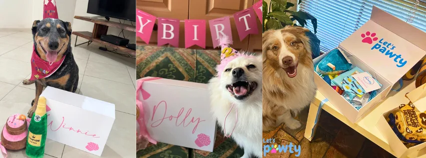 Personalised gift ideas for pets from LetsPawty