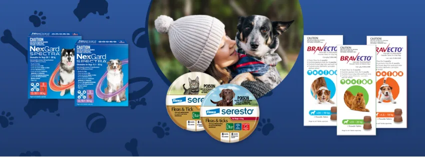 Seasonal pet gift ideas for pets from Vet Shop Australia