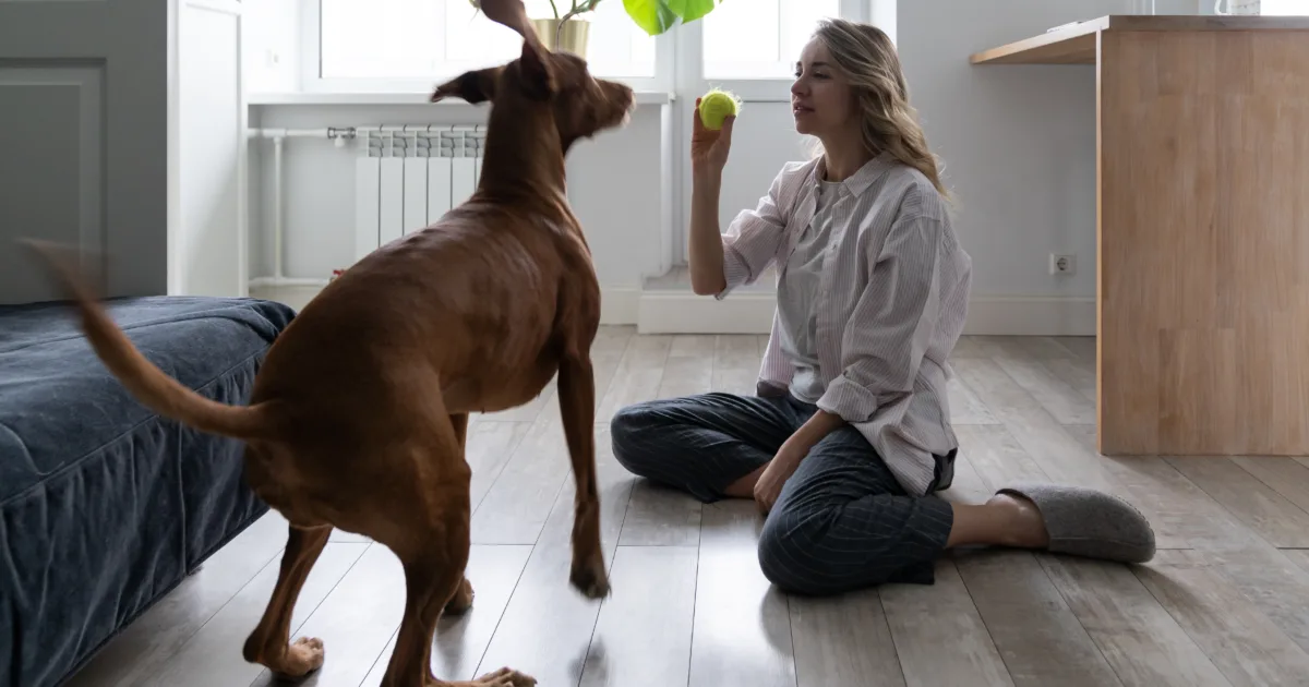 Woman using dog exercises to train her dog indoors