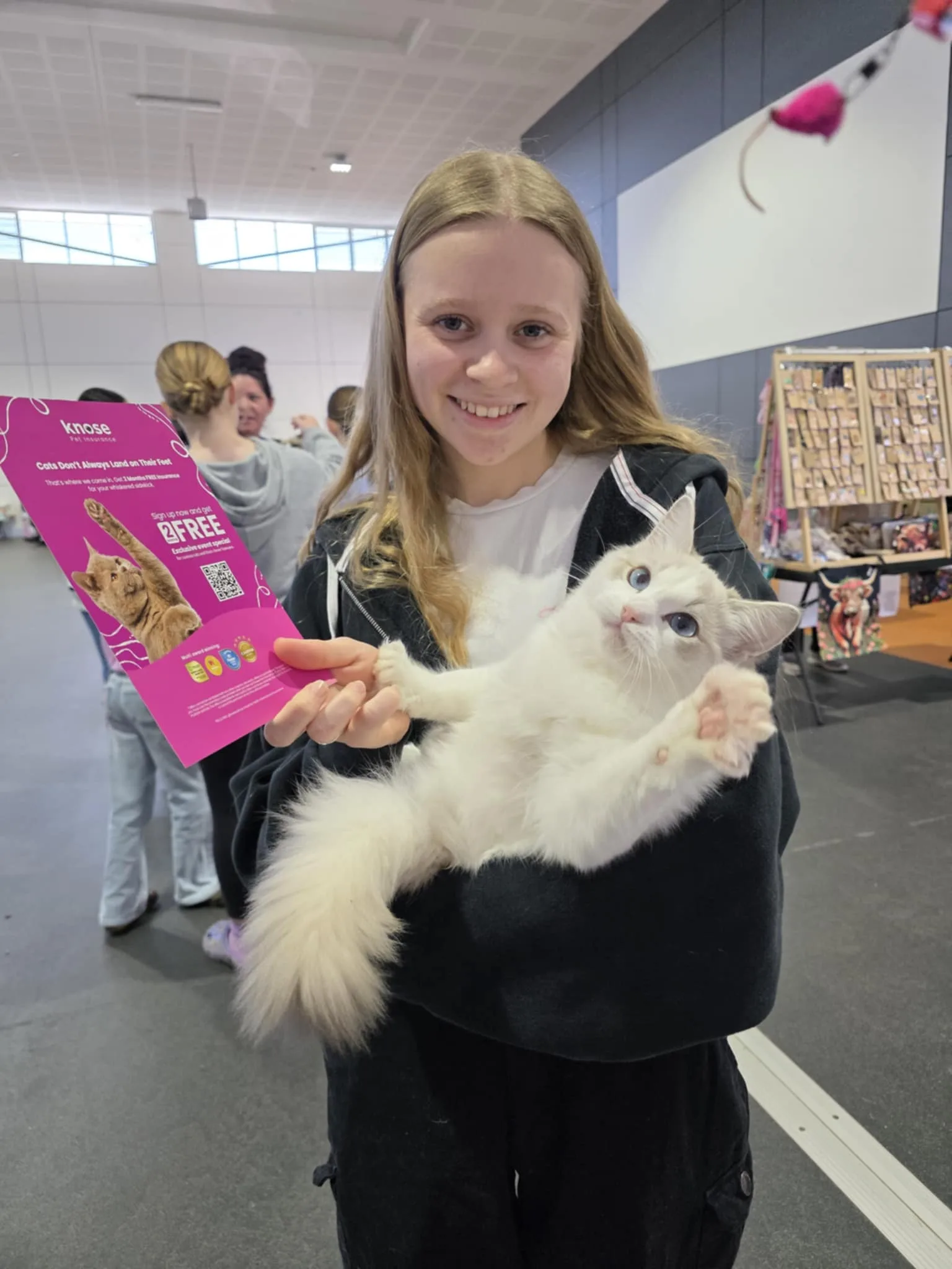 Domestic longhair cat at a Knose event