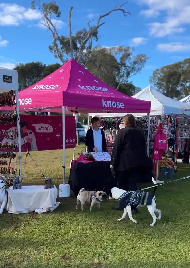 Cavoodle visiting the Knose booth at Dogs in the Park NSW Festival