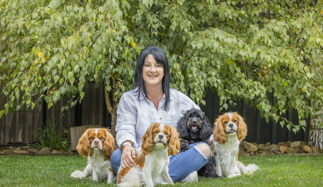 Cavoodled by Enza - Knose Breeder Partner Photo