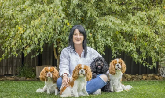 Cavoodle Breeder Q&amp;A: What New Cavoodle Parents Should Know