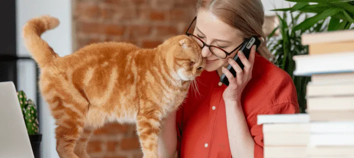 orange cat with a woman with phone