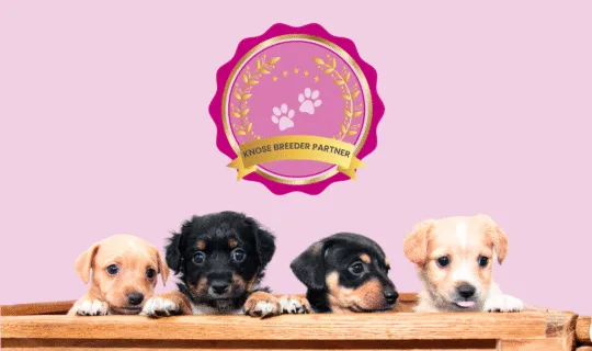 What Does the Knose Breeder Partner Badge Really Mean?