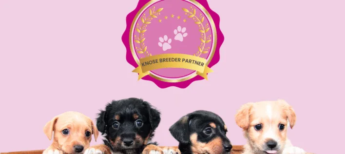What Does the Knose Breeder Partner Badge Really Mean?