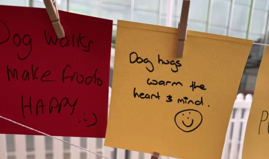 A heartwarming connection between pets and mental health