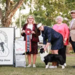 Border Collie Breeders