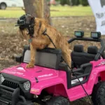 Javier the Knose dog ambassador