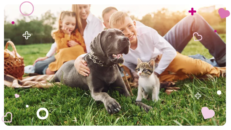 a family enjoying quality time with their pet dog and cat