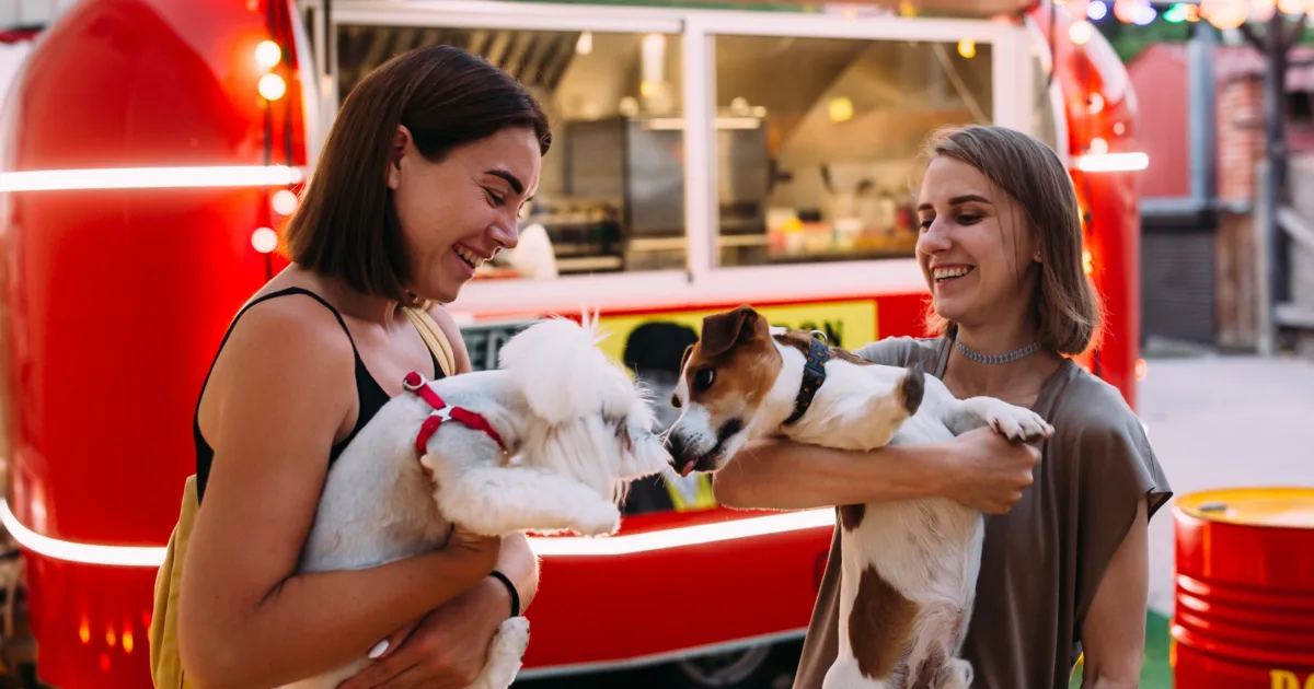 Two friends and their dogs meeting each other