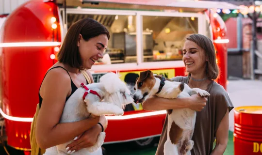 Two friends and their dogs meeting each other
