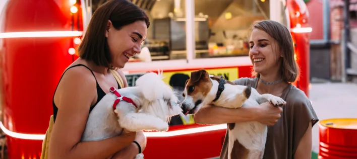 Penrith Christmas Market for Pets