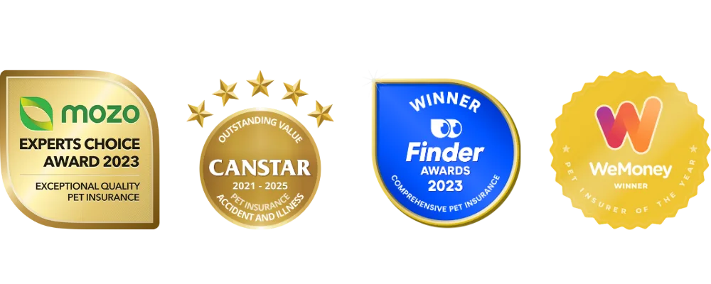 knose pet insurance awards