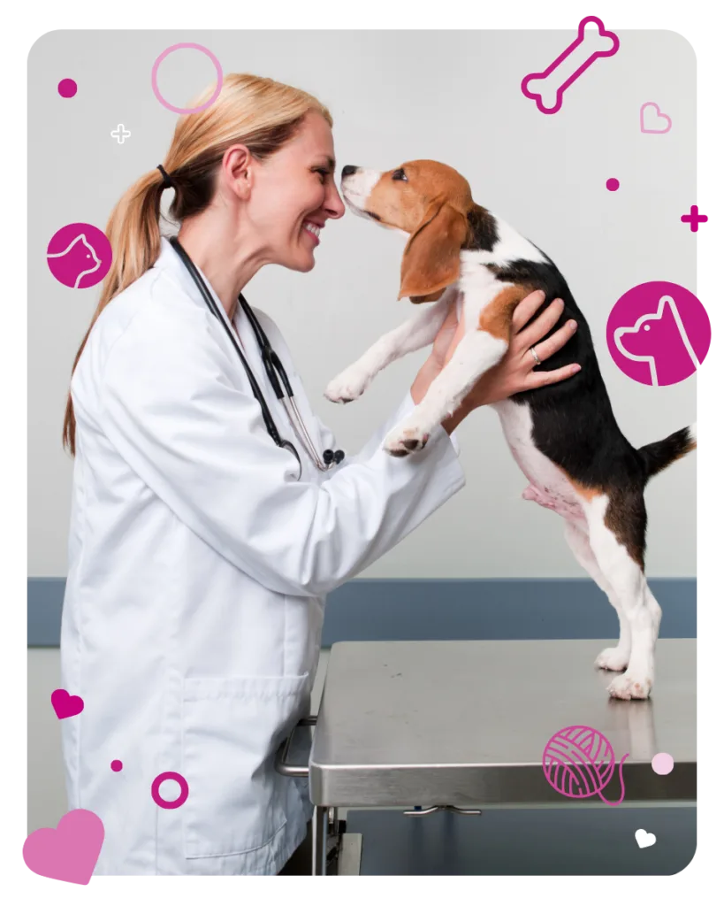 vet and a beagle