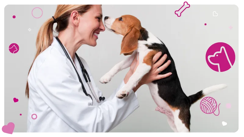 vet and a beagle