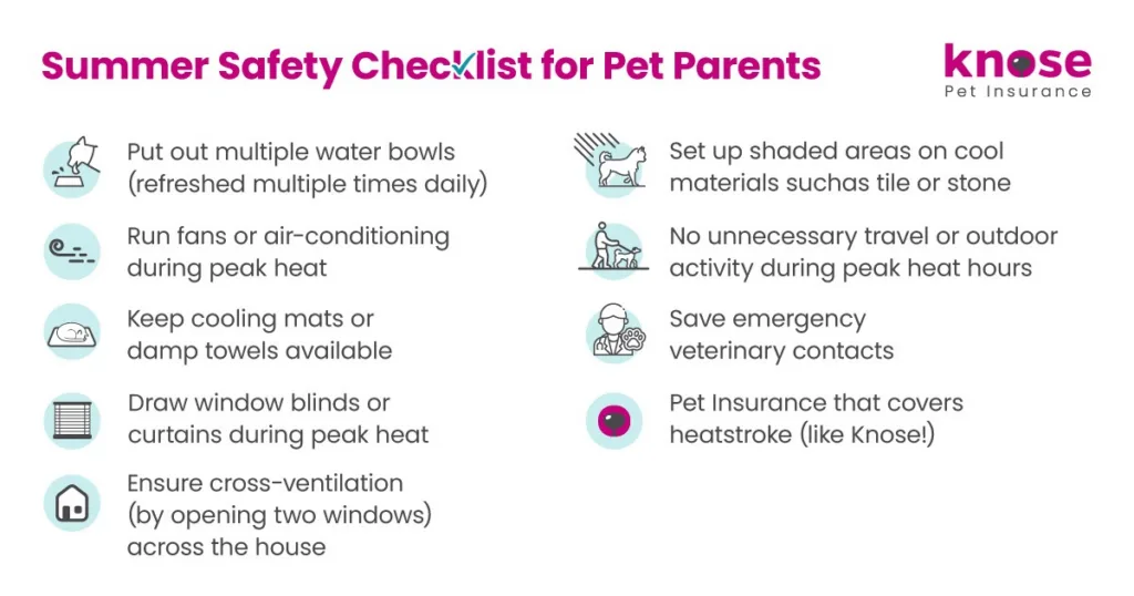 summer safety checklist for pet parents