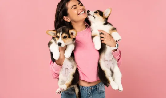 Most Popular Dog Names in Australia [2026]: What Aussies Are Naming Their Dogs