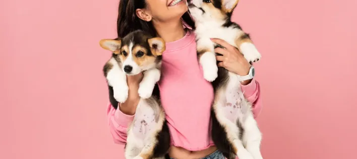 Most Popular Dog Names in Australia [2026]: What Aussies Are Naming Their Dogs