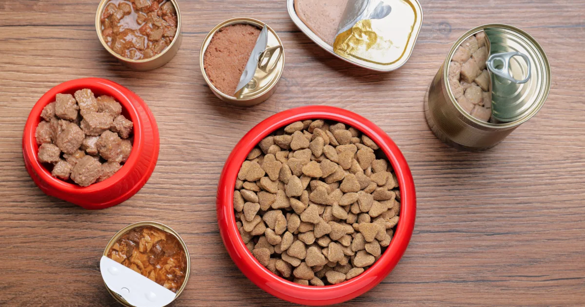 Wet and dry pet food on wooden table, flat lay
