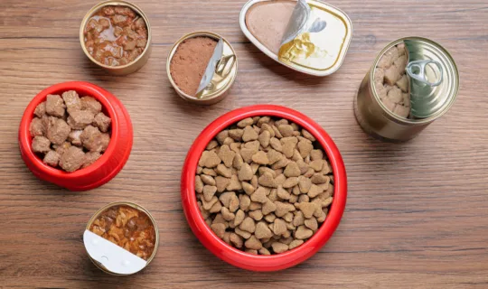 Wet and dry pet food on wooden table, flat lay