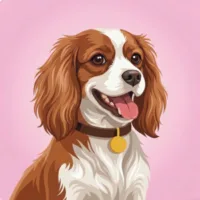 卡瓦利尔·查尔斯王小猎犬图片