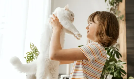 Most Popular Cat Names in Australia [2026]: What Aussies Are Naming Their Cats