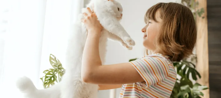 Most Popular Cat Names in Australia [2026]: What Aussies Are Naming Their Cats