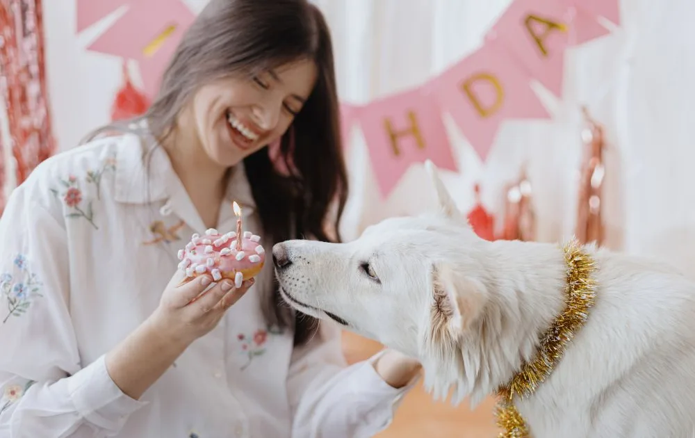 Dog birthday party